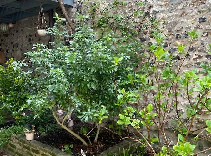 فندق مبيت وإفطار Capucine أونفلور