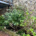 Bed and breakfast Capucine Honfleur