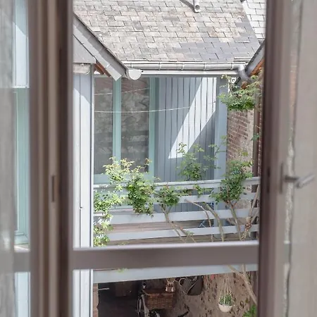 Capucine * Honfleur