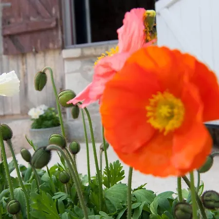 Bed & Breakfast Capucine Honfleur