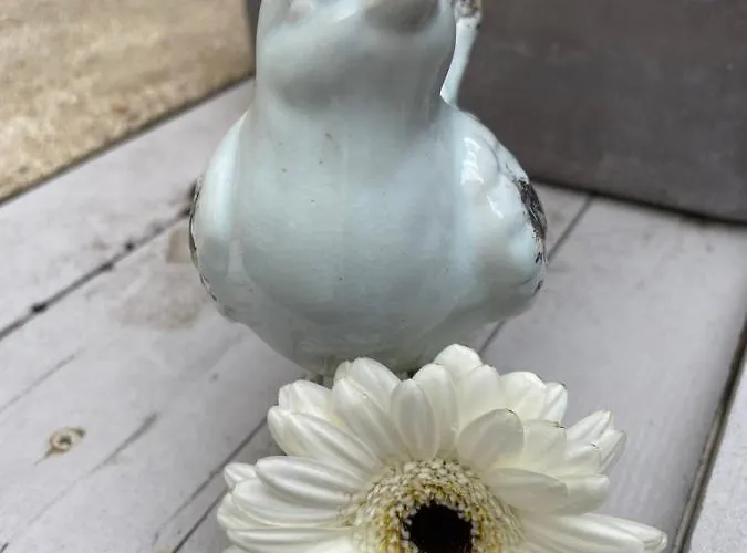 Capucine Отель типа 